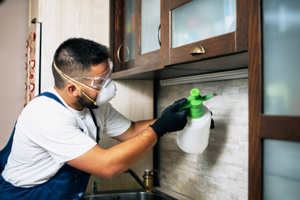 Best Mosquito Control Services  in East Lake Orient Park, FL