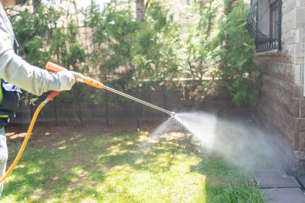 Best Exterminator Services  in East Lake Orient Park, FL