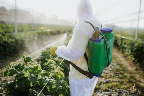 Best Ant Control Services  in East Lake Orient Park, FL